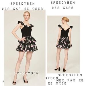 Love Shack Fancy LoveShackFancy Sanam Floral Mini Dress Size 4